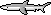 le landyatchz chinook Shark